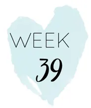 هفته ۳۹ بارداری